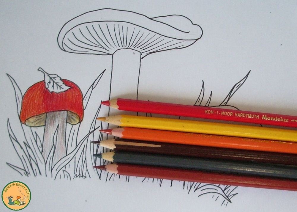 Мастер-класс: рисуем грибы карандашом