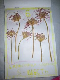 Изучаем числа весело